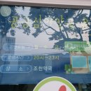 조천약국 이미지