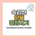 속리산 이미지