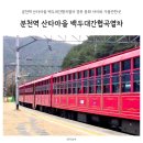 백두상가 | 분천역 산타마을 백두대간협곡열차 좌석 추천 경북 봉화 아이와 여행