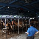 함안축산업협동조합 이미지