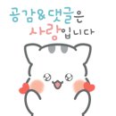 에스엠(SM)헤어 이미지