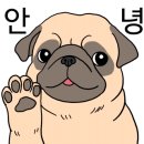 와이비바이크