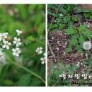 흥원목장 이미지