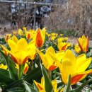 원종농장 이미지