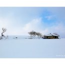 장성목장 이미지