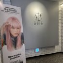 동성로 미용실 휘유헤어 대구동성로점 두피 스케일링 힐링케어