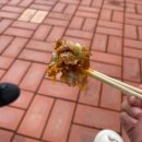 광주 매곡동 타코야끼 맛집 [우마이타코야끼 명인 본점] 후기