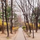 모닝글로리만수 이미지