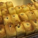 금강롯데수원지점 | 수원 롯데백화점 데이트 | 맛있는 디저트와 영화 「군체」 후기