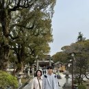 EG투어버스 L코스 | 후쿠오카 태교여행 다자이후 유후인 유후다케 버스투어