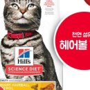 헤어힐스 - 전주시 덕진구 | 헤어힐스