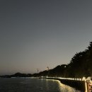 크리스탈 | 목포 해상 케이블카 크리스탈 캐빈 일몰 바다 뷰 관람 내돈내산 솔직 후기