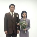 채서안 카카오 검색결과