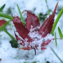 행정사사무소 내일 이미지