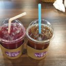 선인장을 부탁해 이미지