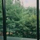 스타벅스 평택청북DT점 이미지