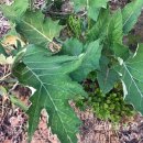 홍천냉동 이미지