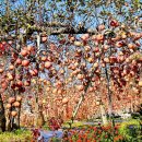 덕주농장 이미지