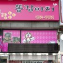 똥강아지 애견 이미지