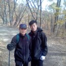 좌삼초등학교 이미지