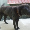 서창파출소 이미지