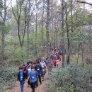 성라초교길 이미지