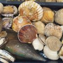 더드림조개찜 이미지