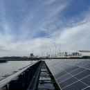 수태양광발전소 이미지