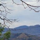 가나안노인전문요양원 이미지