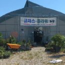 야목서길 이미지
