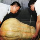 중국슈퍼 - 용인시 기흥구 신갈로84번길 23 | 중국슈퍼