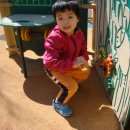 백합어린이공원 이미지