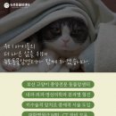 뉴로동물암센터 이미지