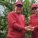 먹방농장1 이미지