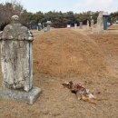 박충원묘 이미지