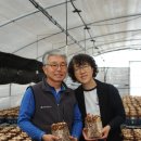 이성재 농장 이미지