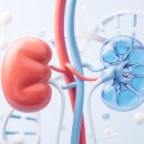 퍼스트 메디케어 | 의료비 먹는 하마가 된 &#39;신장 두 쪽&#39;