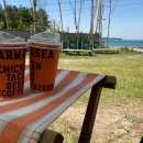 동산애견 이미지