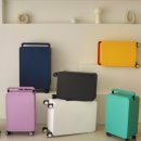 와이디팜 이미지