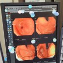 서울본내과의원 이미지