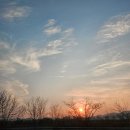 한산일주로가로수 | [제주 힐링 여행1]환상적인 아름다움 동쫀쿠 항공뷰<제주동백수목원>개화 상태