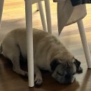 이자카야나무(선릉점) 이미지