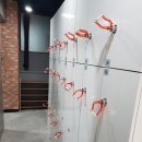 필라테스선학점