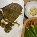 갑을장어 이미지