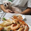 내돈내산 더자리캠핑장 영애회식당 죽도시장