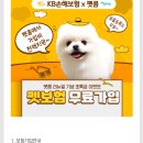 펫콤동물병원 이미지