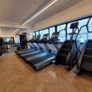 뭉트니스 이미지