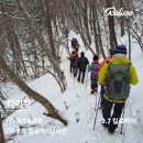 사북초등학교 | [산타고81 - 제 137차 하이원 하늘길 신년 눈꽃산행결과]