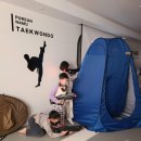 푸른나무 태권도 이미지