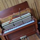 관동중학교 이미지